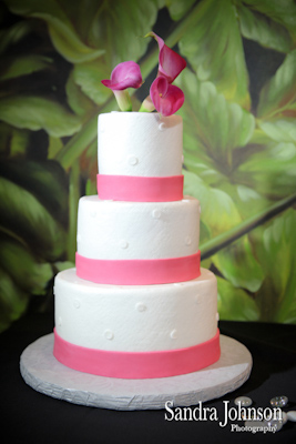 Best Orlando Wedding photographer - Sandra Johnson (SJFoto.com)